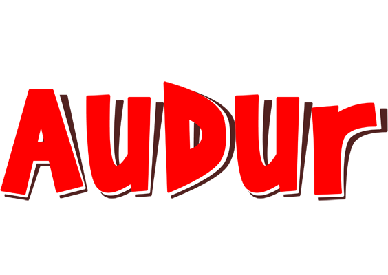 Audur basket logo
