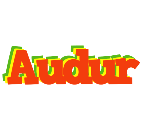 Audur bbq logo