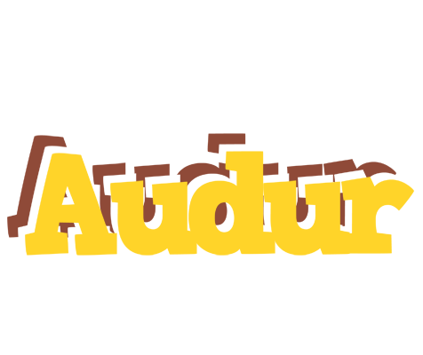 Audur hotcup logo