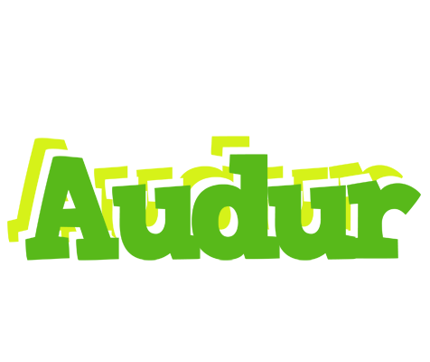 Audur picnic logo