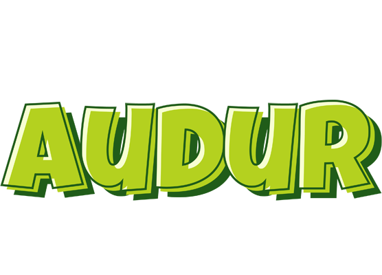 Audur summer logo