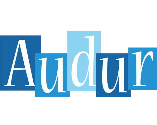 Audur winter logo