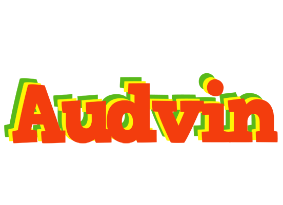 Audvin bbq logo