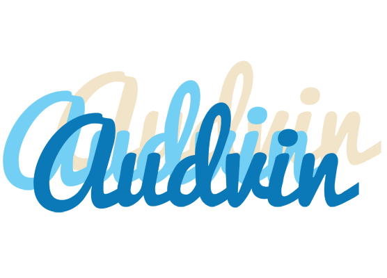 Audvin breeze logo