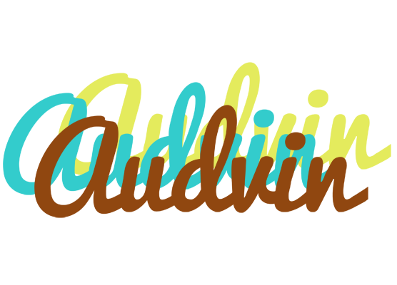 Audvin cupcake logo