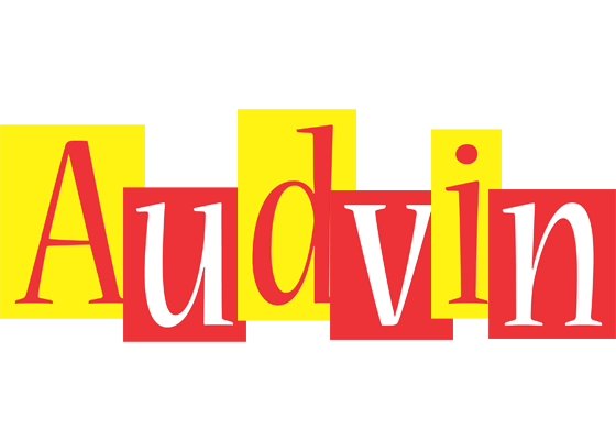 Audvin errors logo