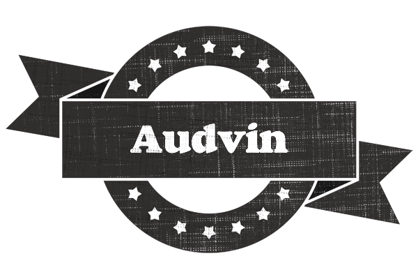 Audvin grunge logo