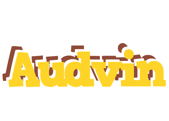 Audvin hotcup logo