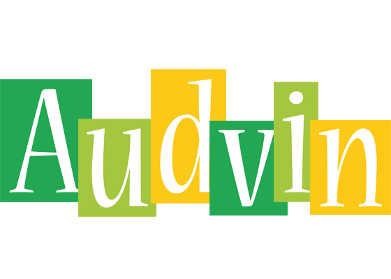Audvin lemonade logo
