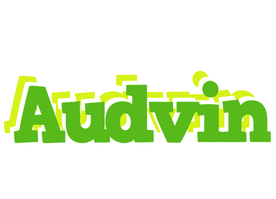 Audvin picnic logo