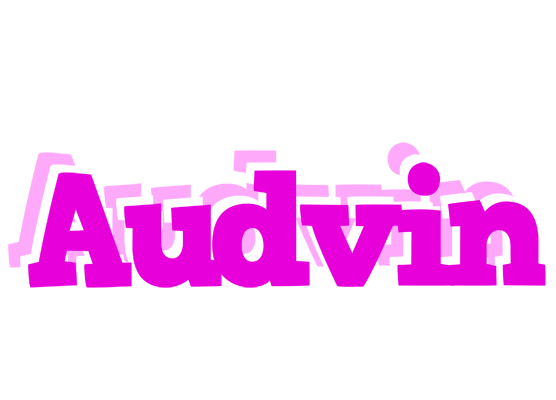 Audvin rumba logo