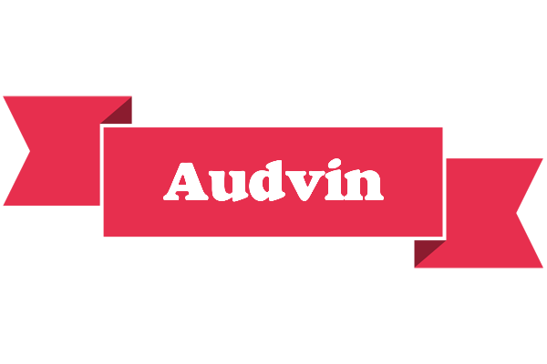 Audvin sale logo