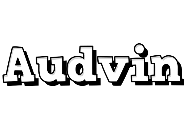 Audvin snowing logo