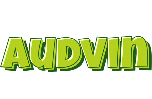Audvin summer logo