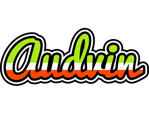 Audvin superfun logo