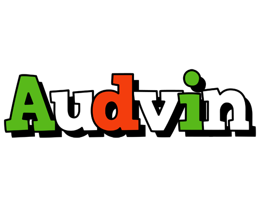 Audvin venezia logo