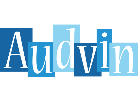 Audvin winter logo