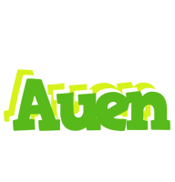 Auen picnic logo