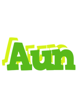 Aun picnic logo