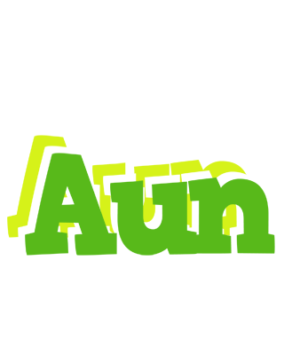 Aun picnic logo
