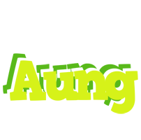 Aung citrus logo