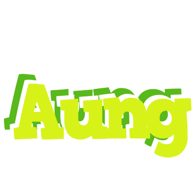 Aung citrus logo