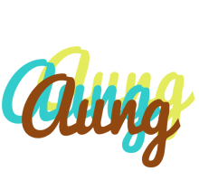 Aung cupcake logo