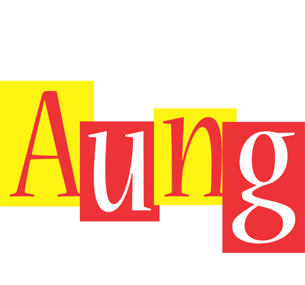 Aung errors logo
