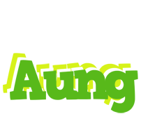 Aung picnic logo