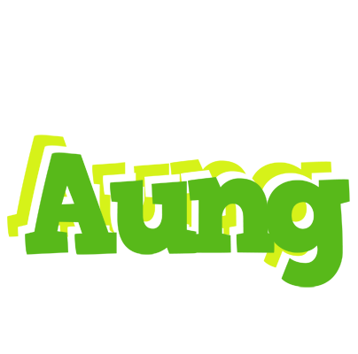 Aung picnic logo