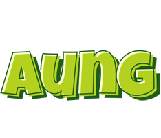 Aung summer logo