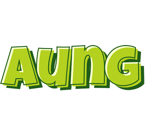 Aung summer logo