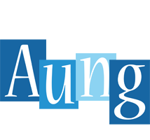 Aung winter logo