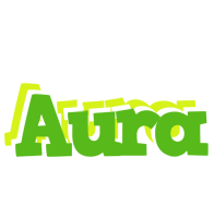 Aura picnic logo