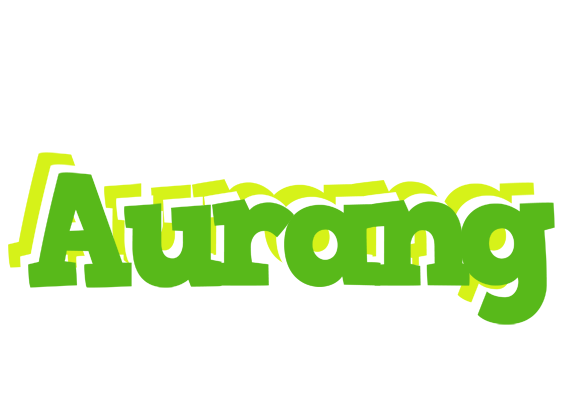 Aurang picnic logo