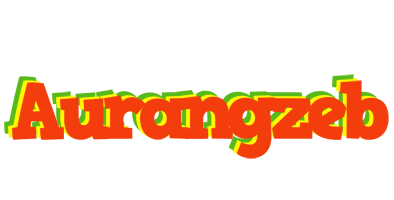 Aurangzeb bbq logo