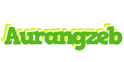 Aurangzeb picnic logo