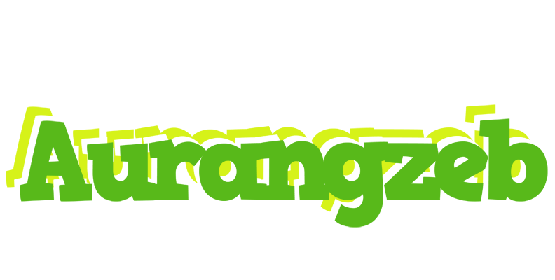 Aurangzeb picnic logo