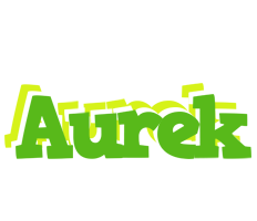 Aurek picnic logo