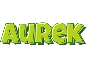 Aurek summer logo