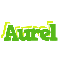 Aurel picnic logo