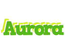 Aurora picnic logo