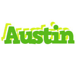 Austin picnic logo