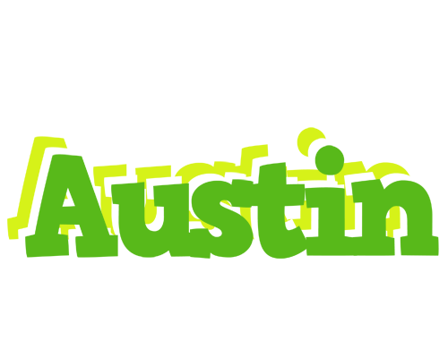 Austin picnic logo