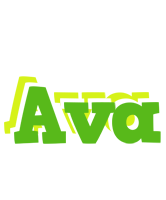 Ava picnic logo