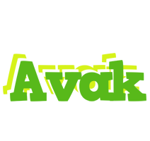 Avak picnic logo