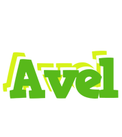 Avel picnic logo