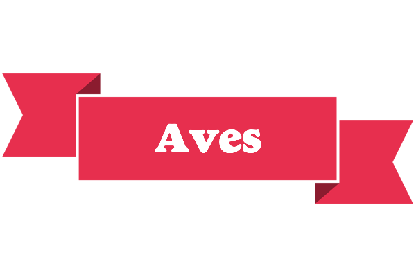 Aves sale logo