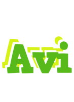 Avi picnic logo