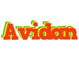 Avidan bbq logo